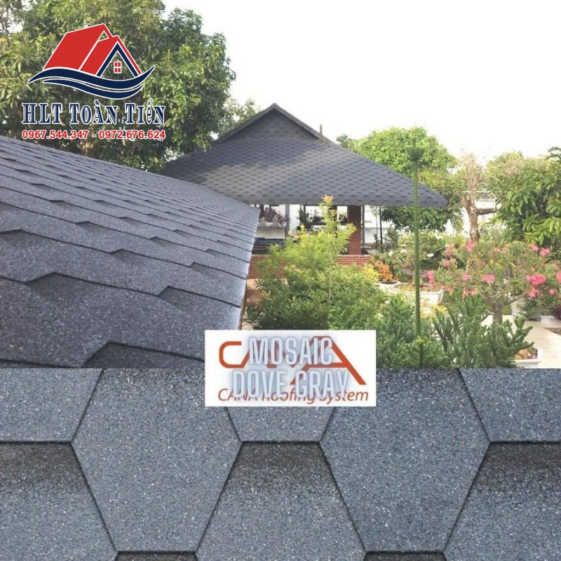 Công Ty TNHH – TM – DV – HLT Toàn Tiến